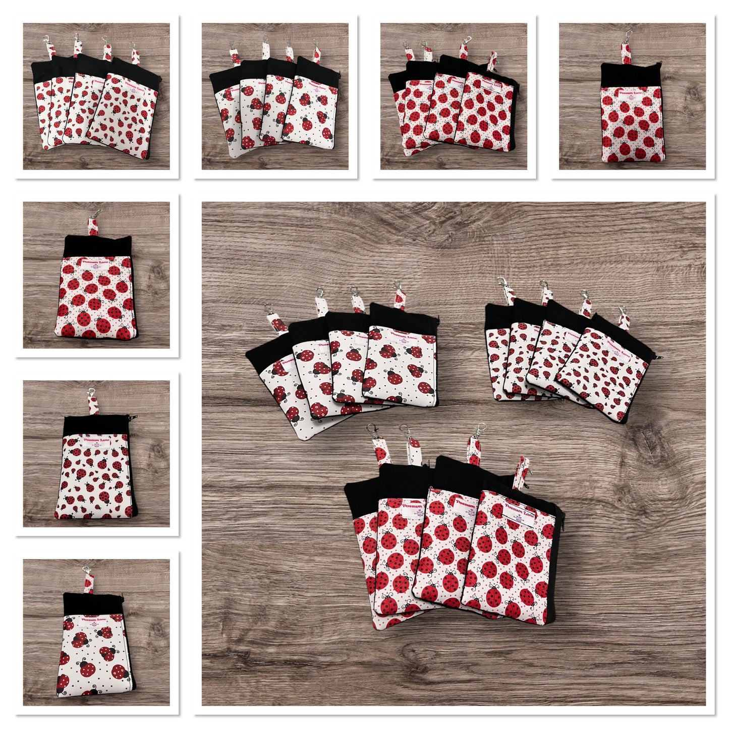 Ladybird 🐞 Zip Pouch